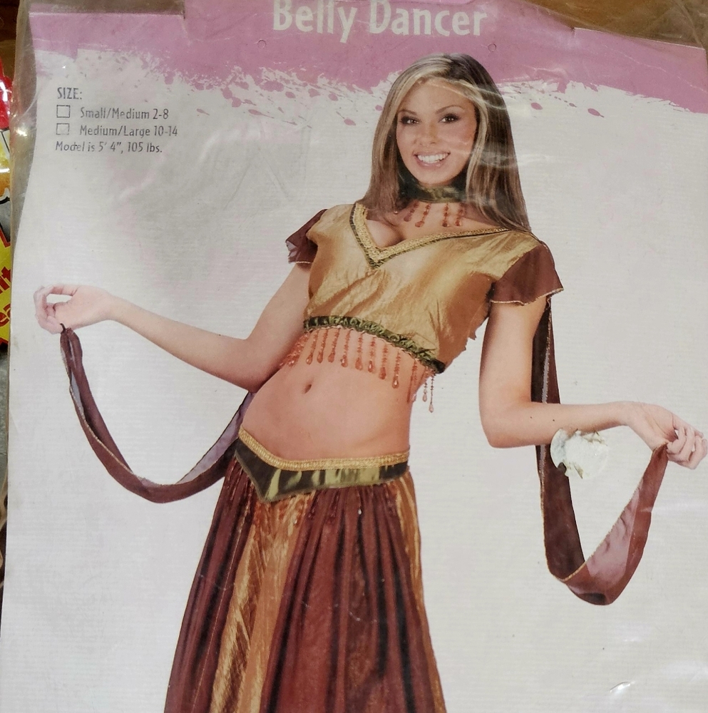 EXOTIC BELLY DANCER Womens Halloween Sz 10-14 Med/Lg Gold Brown Green Costume - Picture 8 of 8